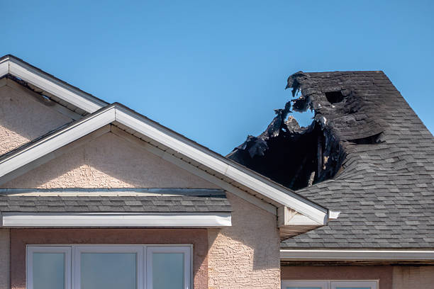 Top rated local Fire Damage Removal specialists in Indian Rocks Beach, FL